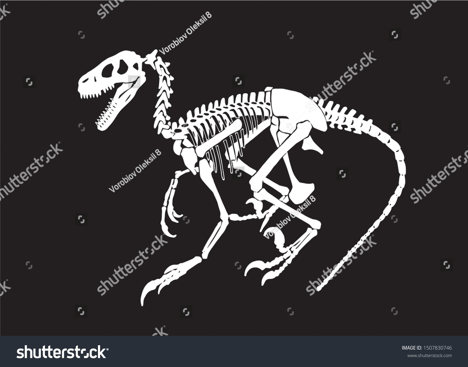 Graphical Sketch Raptor Skeleton Isolated On Stock Vector (Royalty Free ...