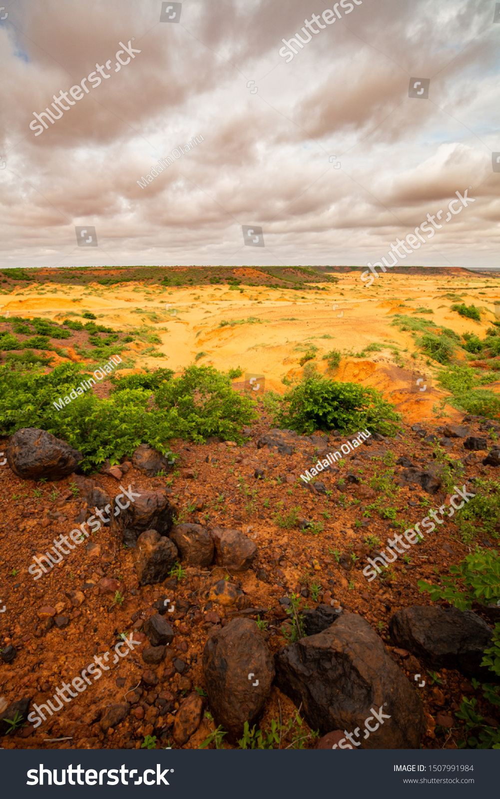 sahel landscape