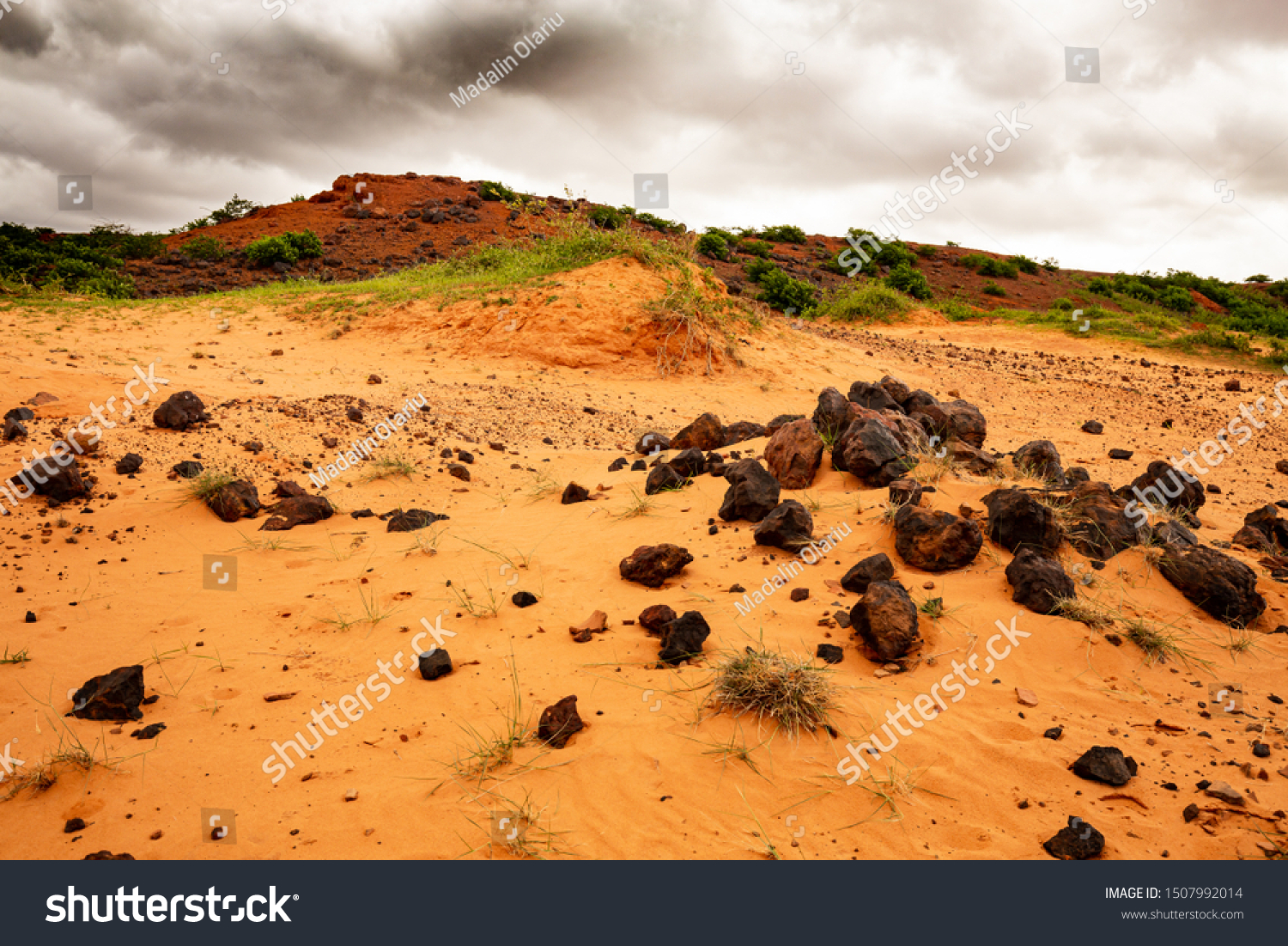 sahel landscape