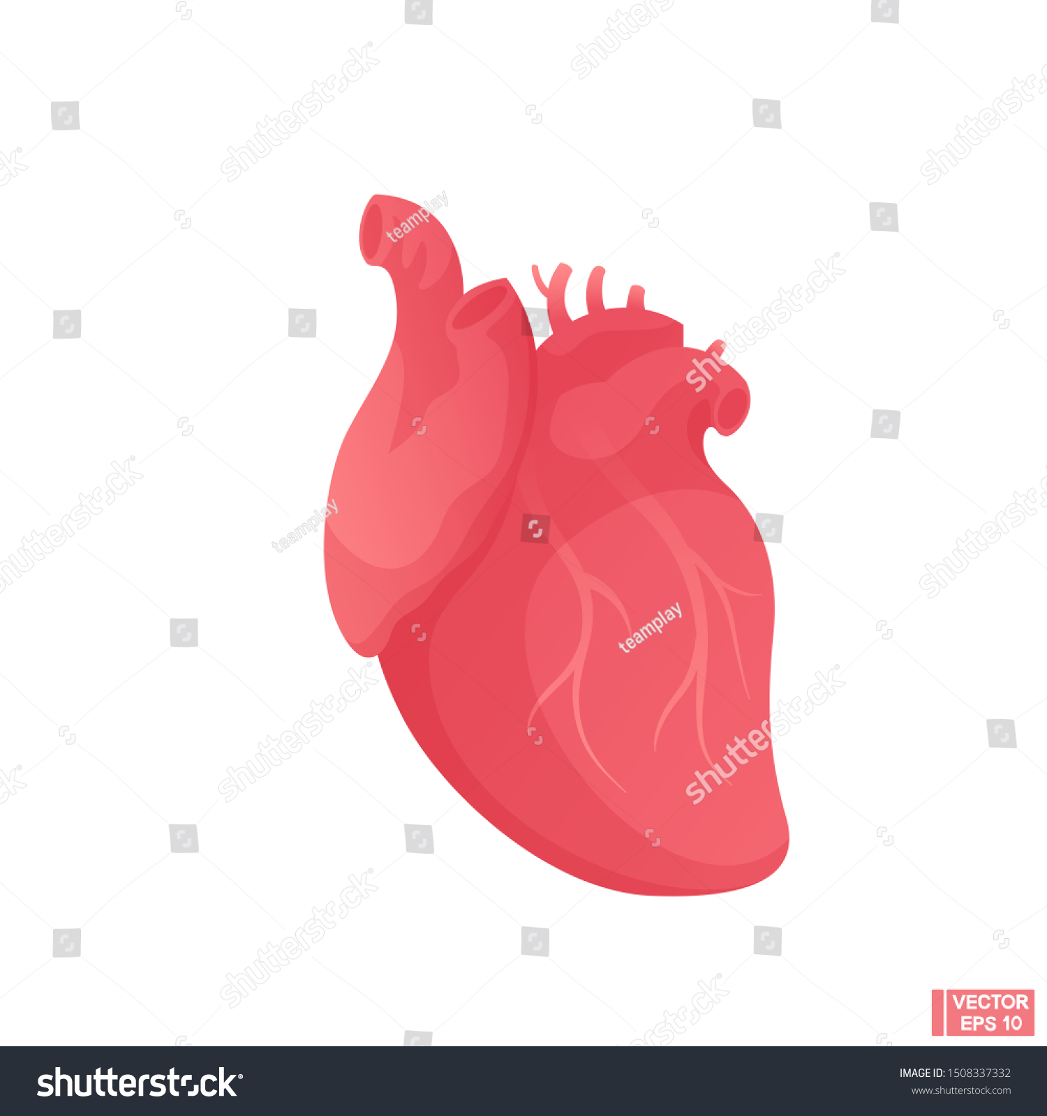 Vector Image Human Heart Cartoon Design Stock Vector (Royalty Free ...