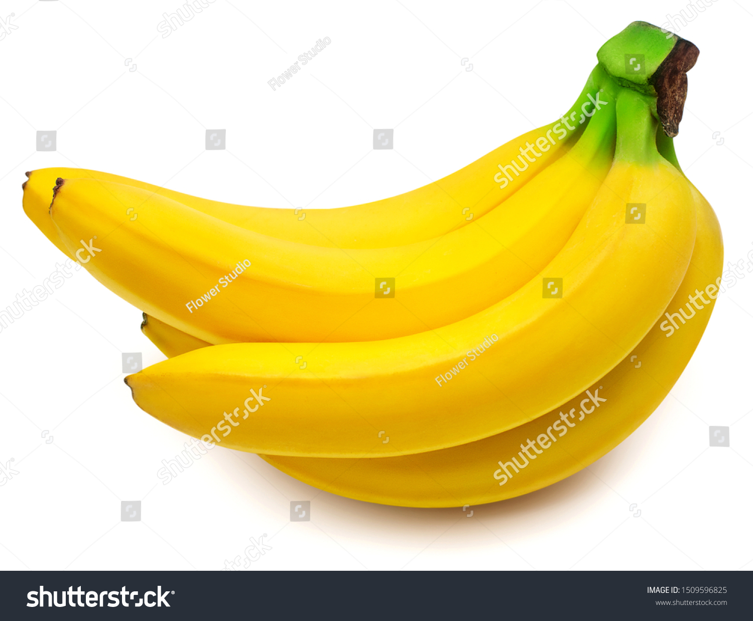 Banana Bunch Isolated On White Background Stock Photo 1509596825 ...