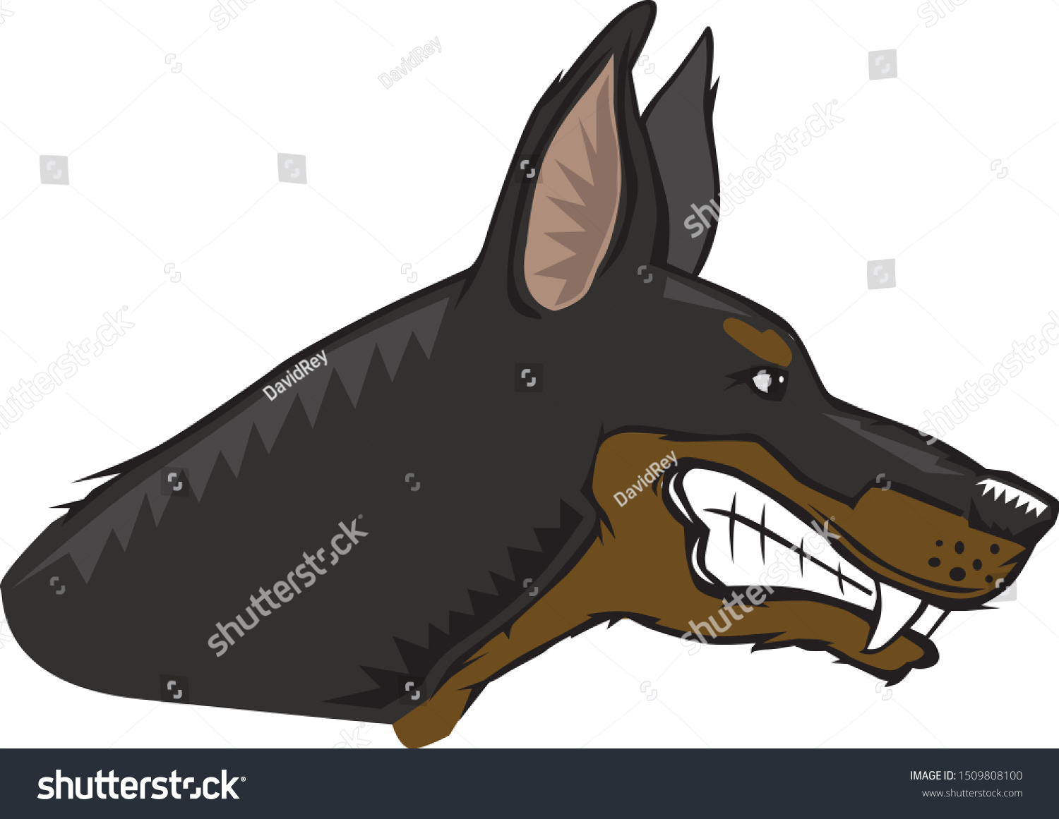 Cartoon Drawing Angry Doberman Stock Vector (Royalty Free) 1509808100 ...