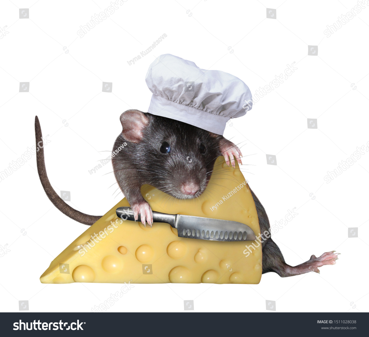 tiny chef hat for rats