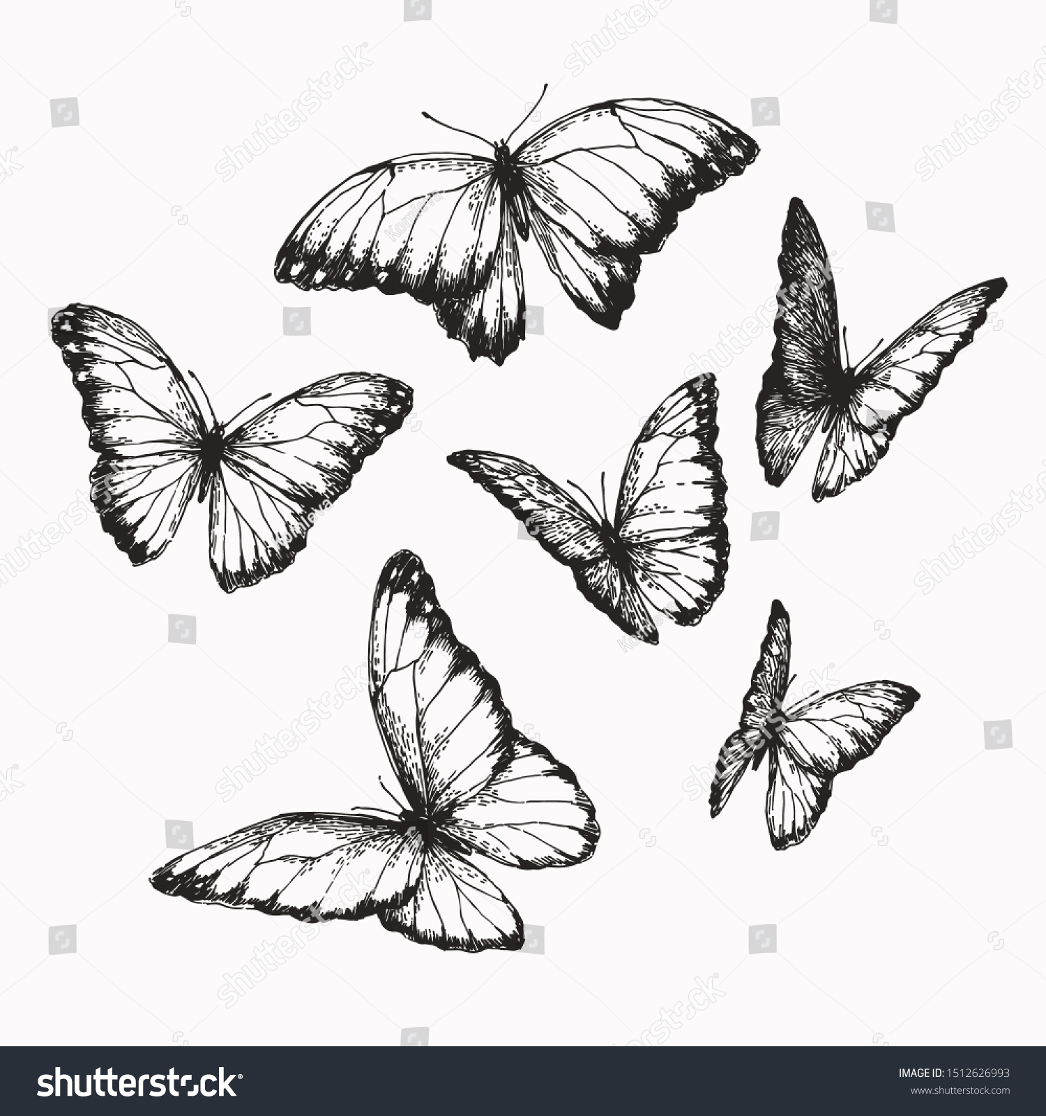 Бабочки в разных положениях
