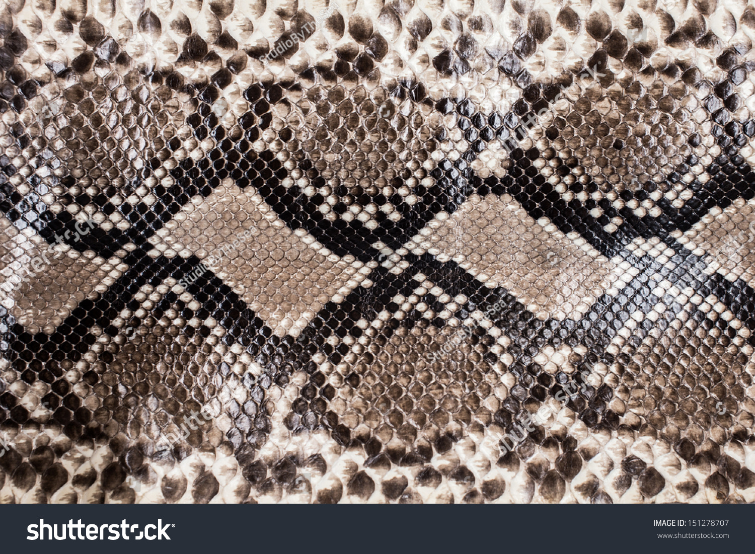 Snake Skin Pattern Background Stock Photo 151278707 