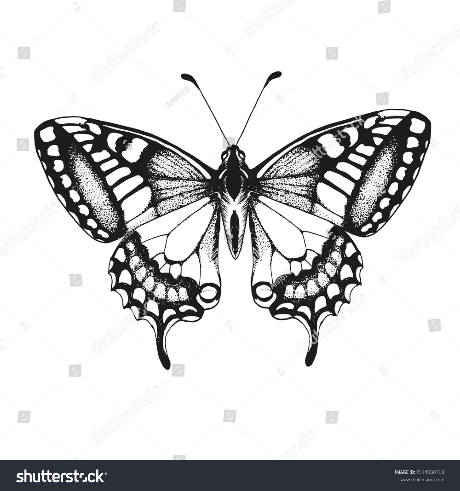 307,800 Drawing Butterfly Images, Stock Photos & Vectors ...