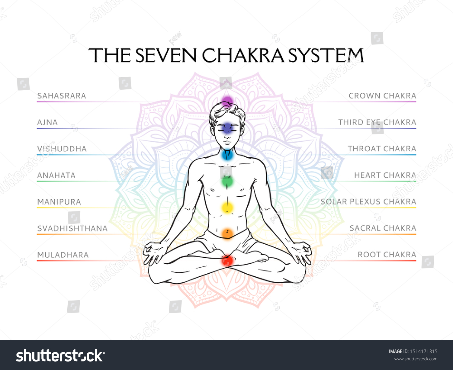 Seven Chakra System Human Body Infographic Stock Vector (Royalty Free ...