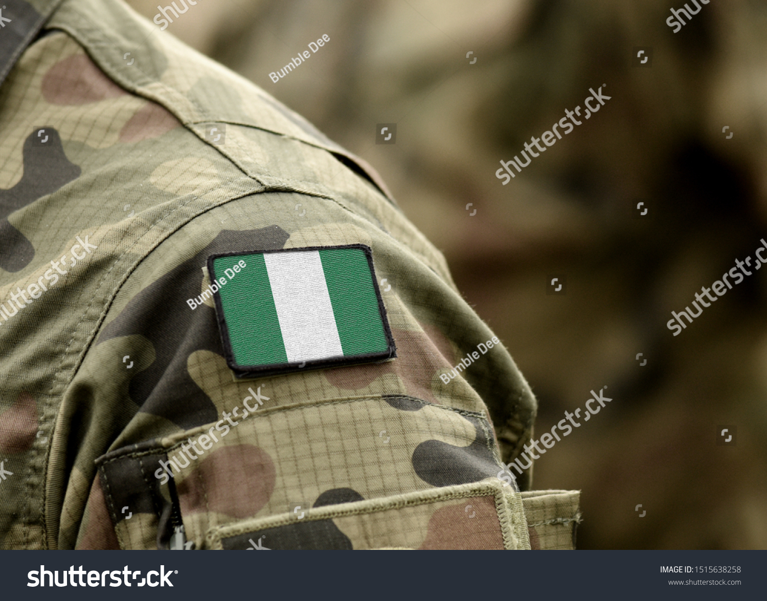 87 Nigerian Armed Forces Images, Stock Photos & Vectors | Shutterstock