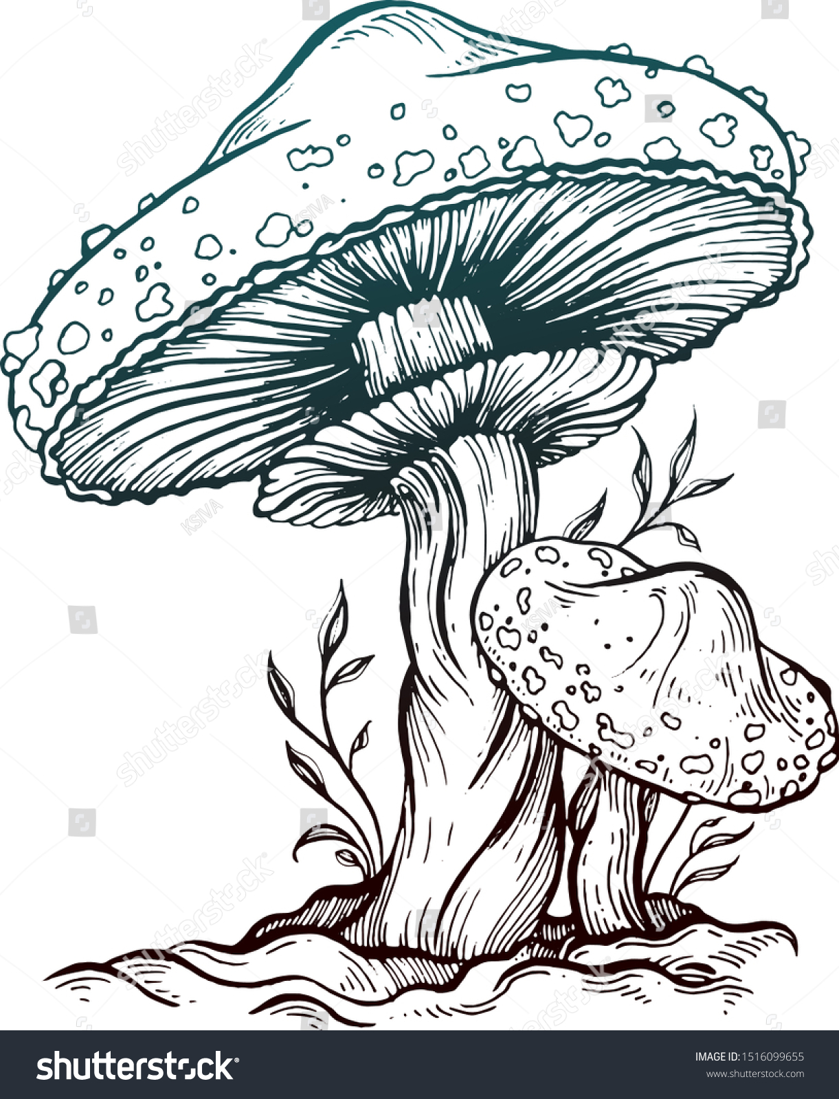 Mushroom Drawing Ink Vector Illustration Stock Vector (Royalty Free ...