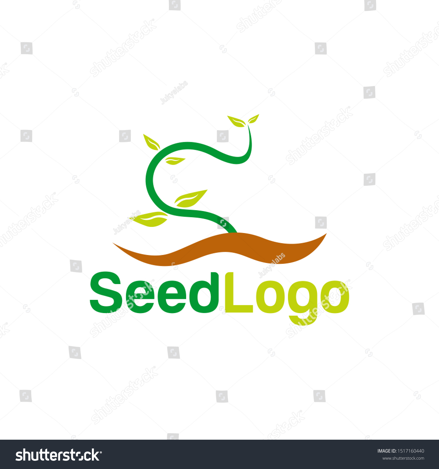 Growing Seed Logo Designs Vector Seed Stock Vector (Royalty Free ...