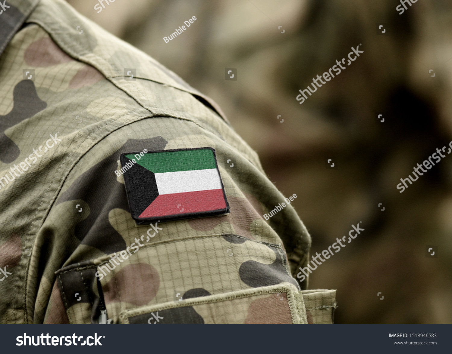 611 Kuwait Army Images, Stock Photos & Vectors | Shutterstock