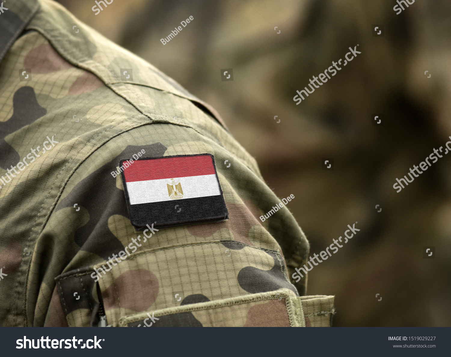 12 Disability Arab Region Images, Stock Photos & Vectors | Shutterstock