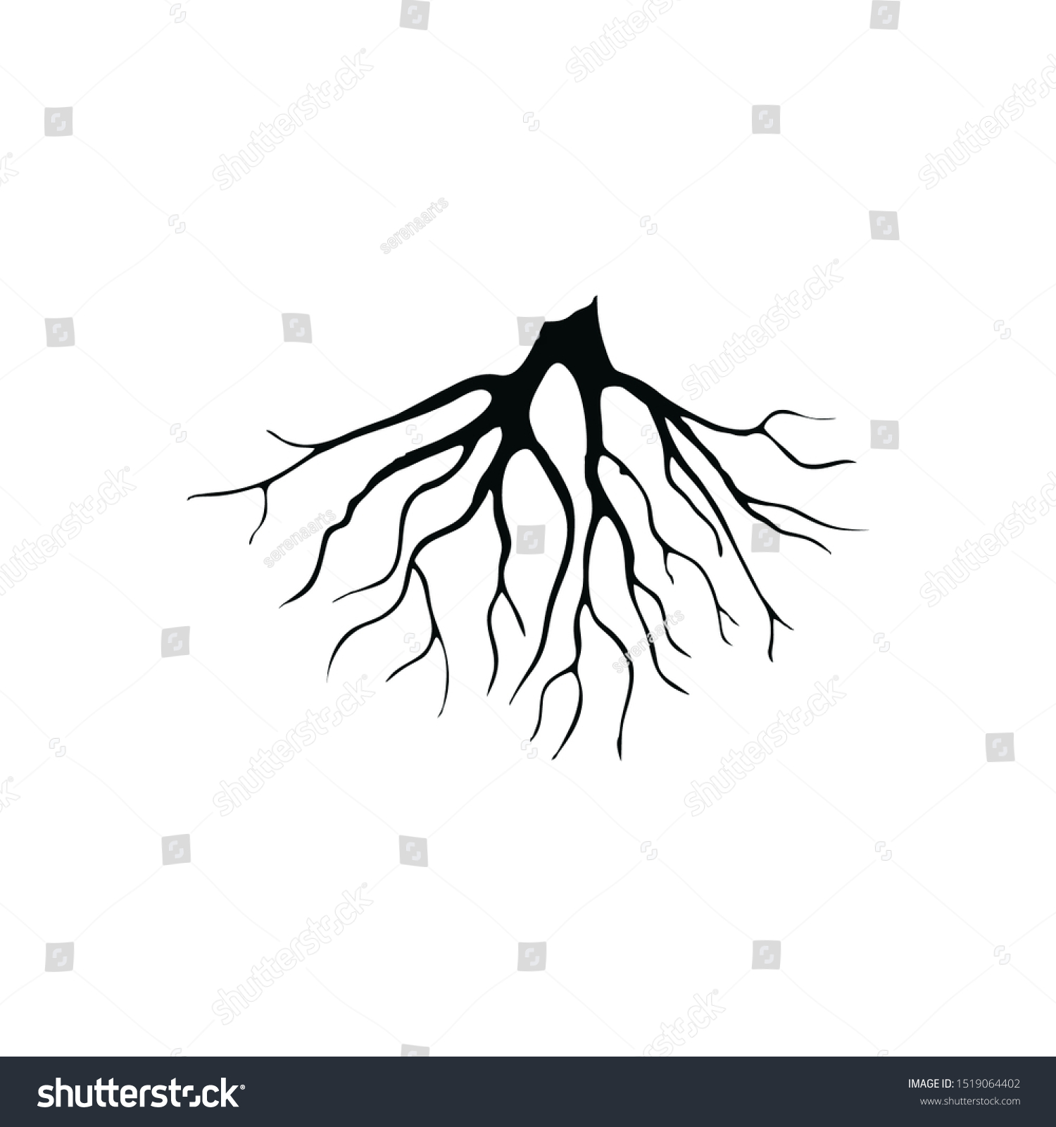 Old Tree Root Silhouette Isolated On Stock Vector (Royalty Free ...