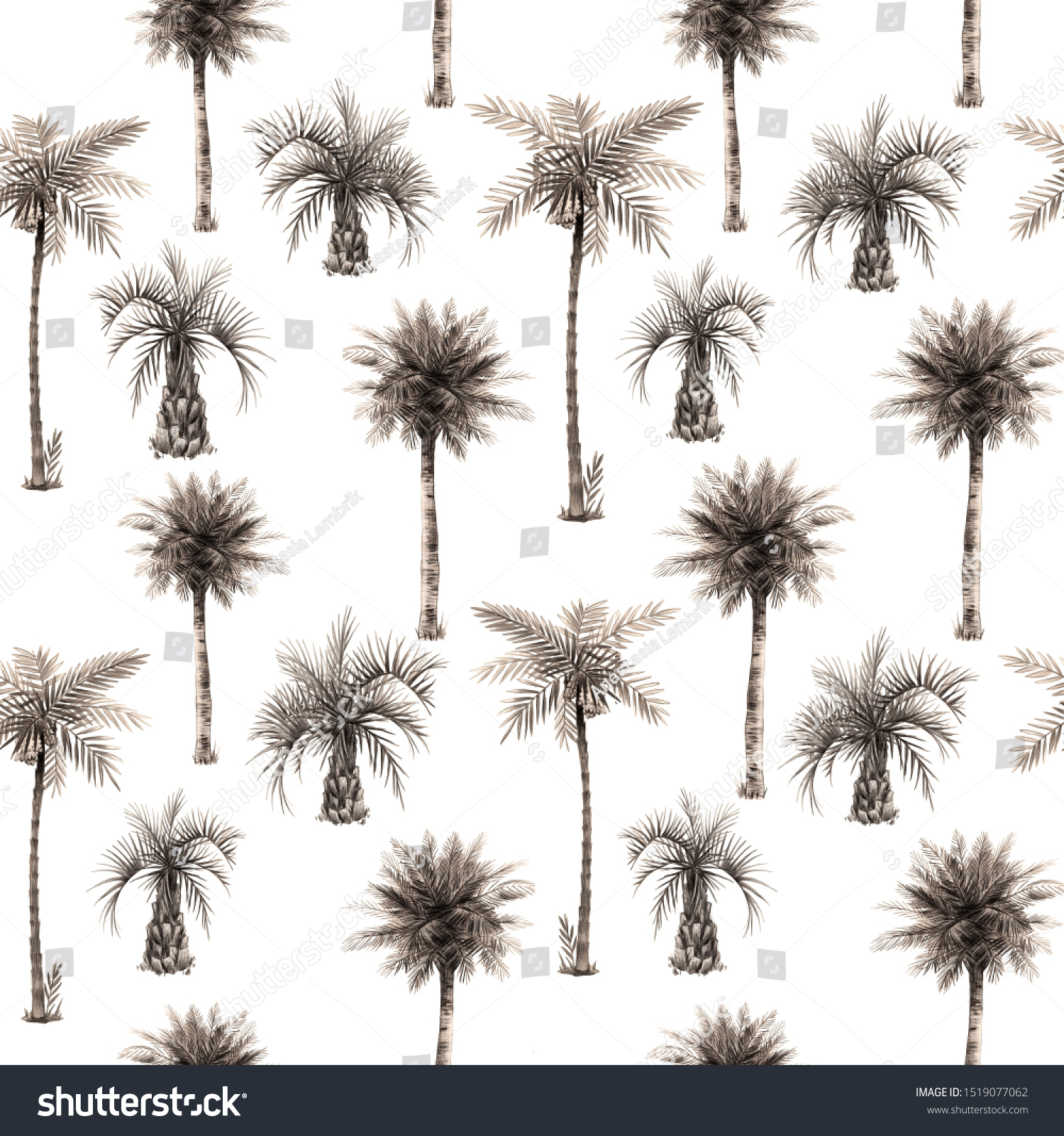 Blackwhite Pattern Palm Trees Vintage Graphics Stock Illustration ...