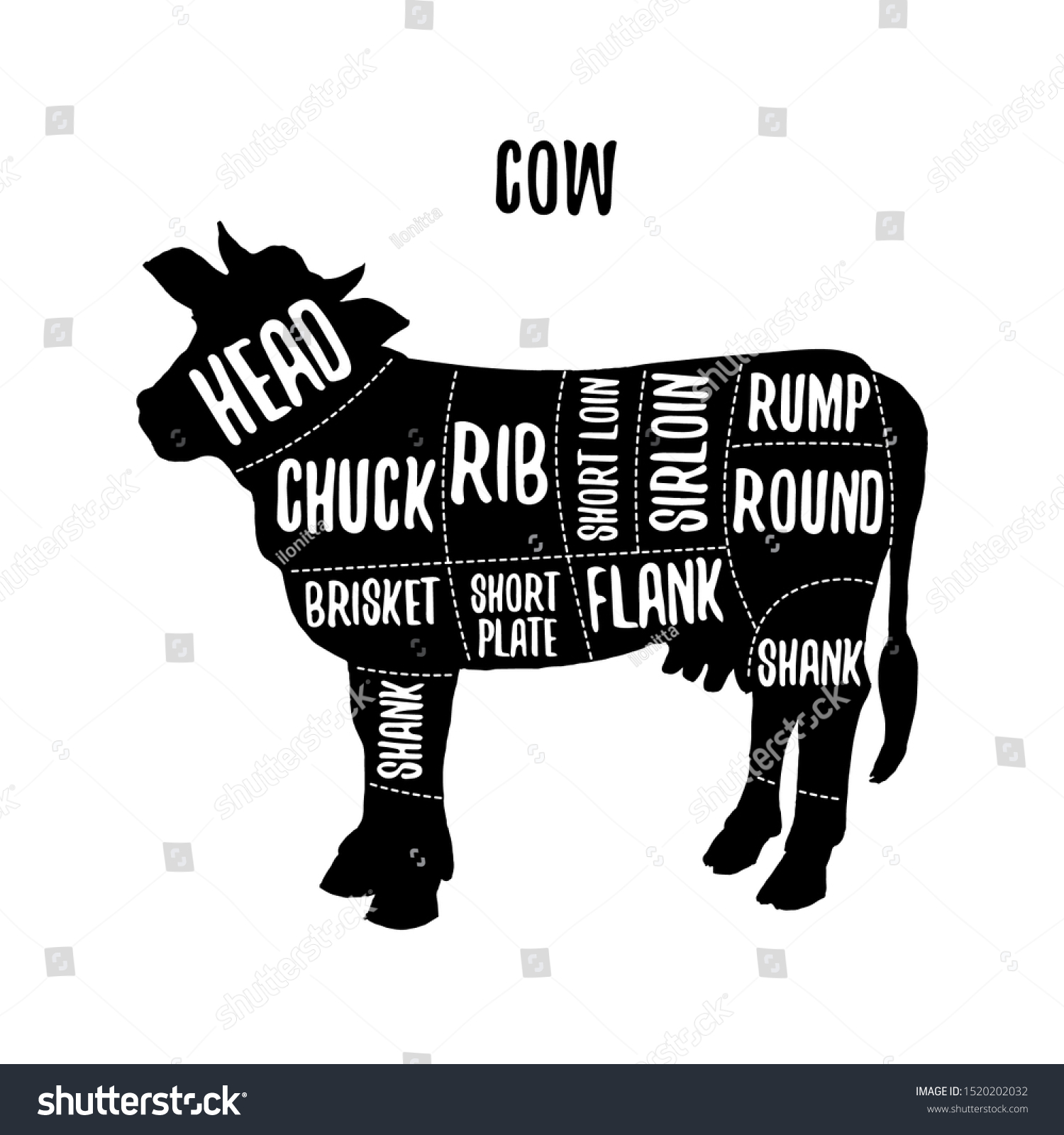 Cow Meat Cutting Charts Vector Illustration Stock Vector (Royalty Free