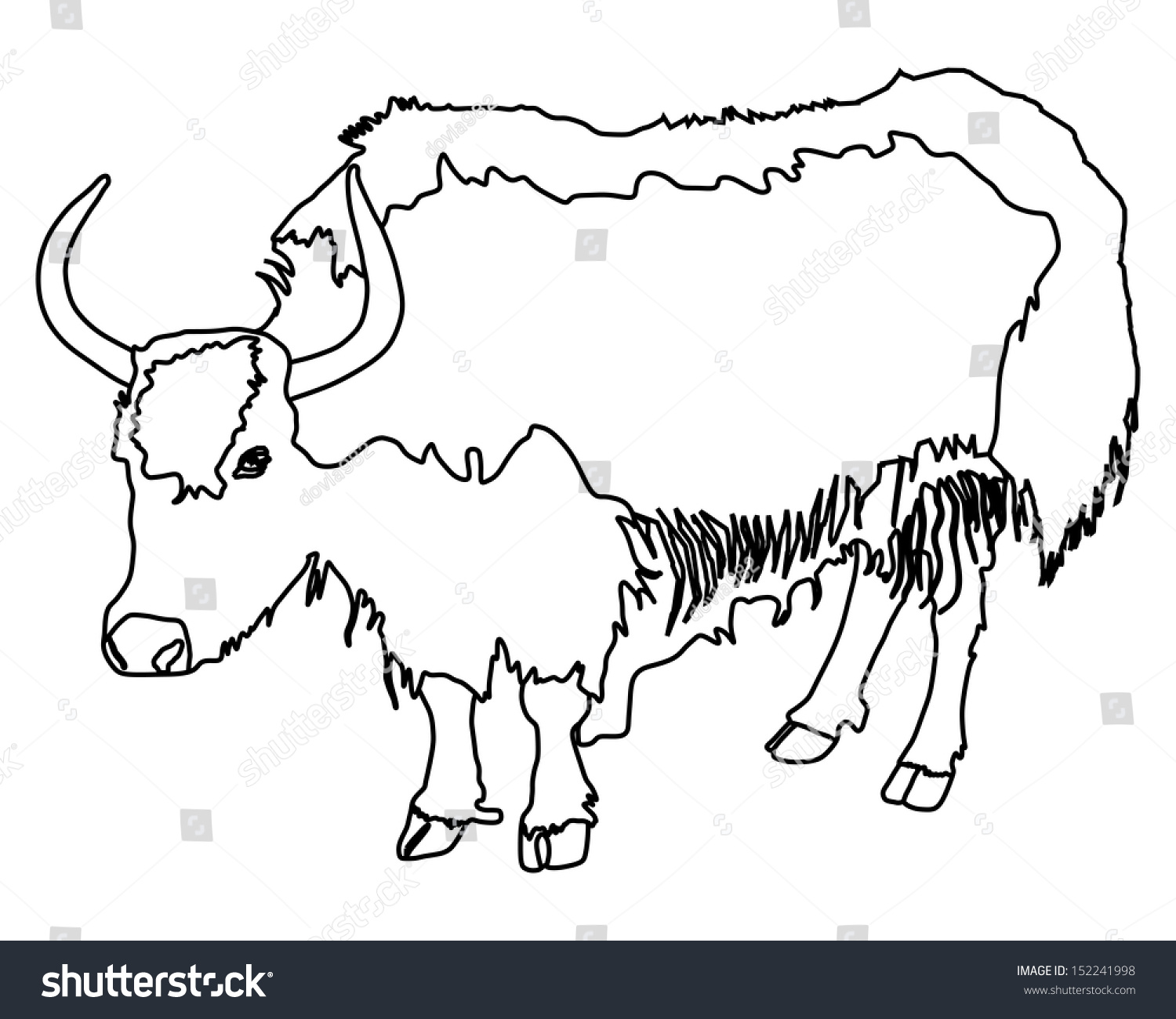 Himalayan Yak Isolated On White Background Stock Vector (Royalty Free ...
