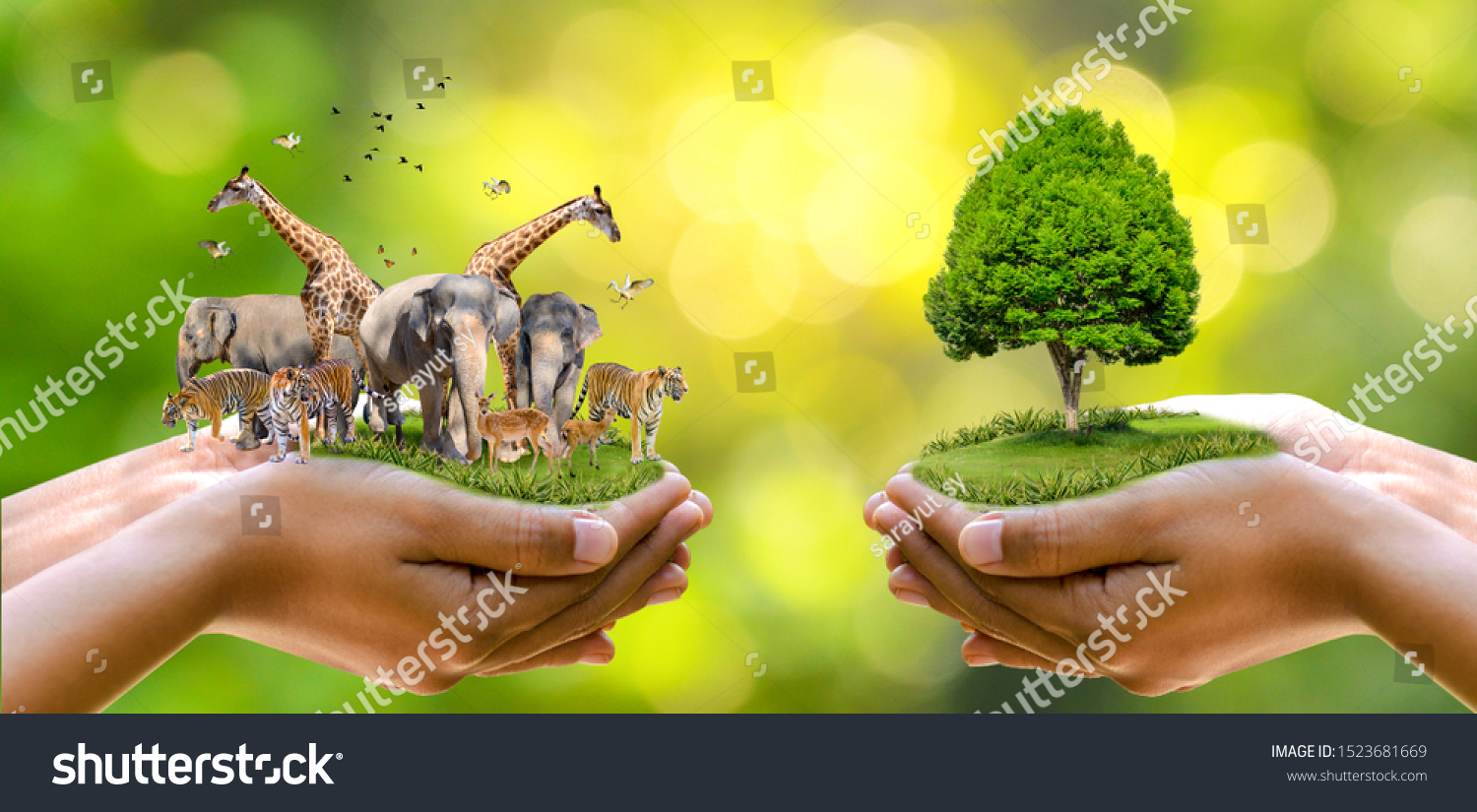 30 707 Conservation Of Plants And Animals Images Stock Photos 30 707 Conservation Of Plants And Animals Images Stock Photos