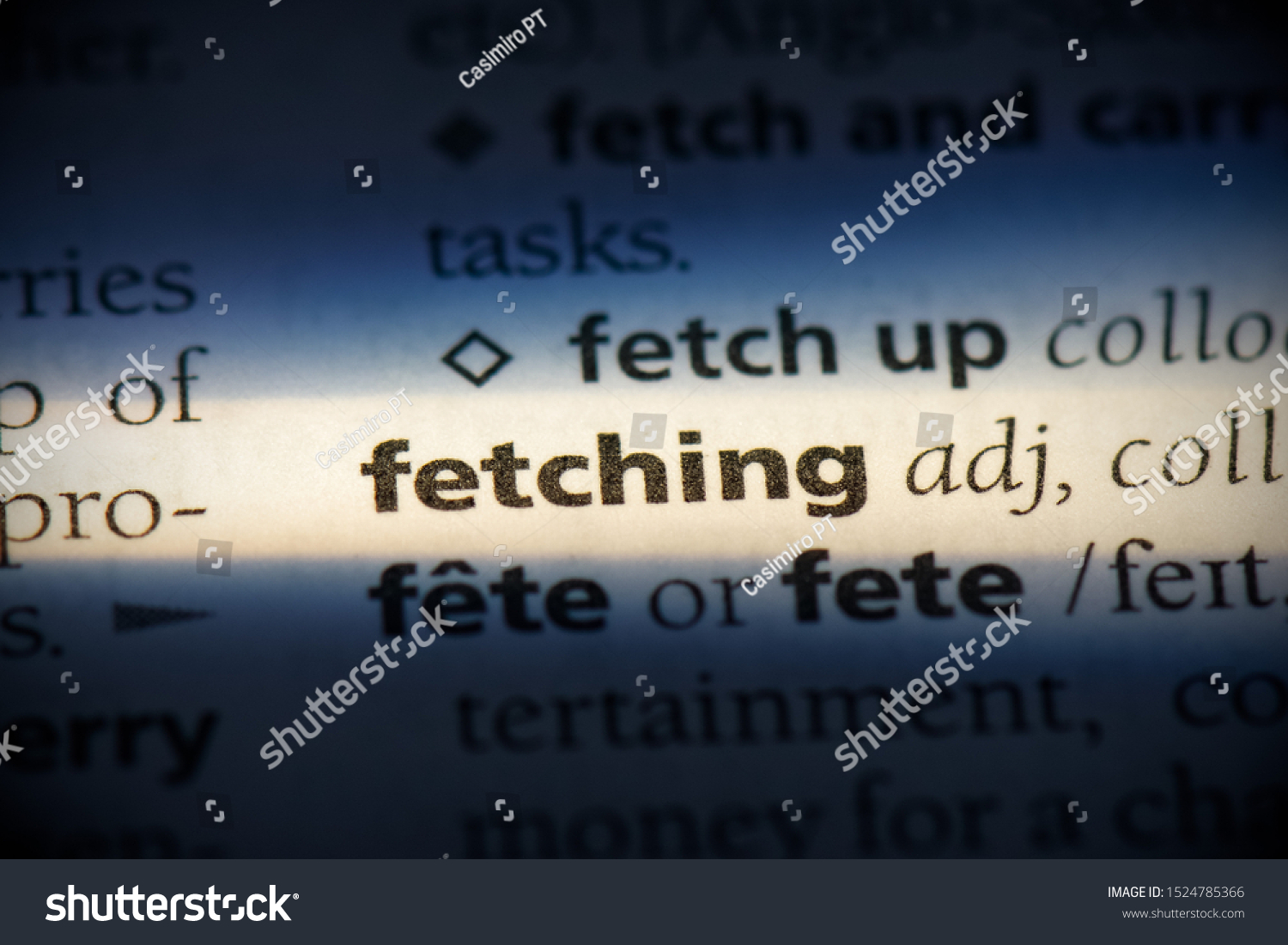 Fetching Word Dictionary Fetching Concept Definition Stock Photo