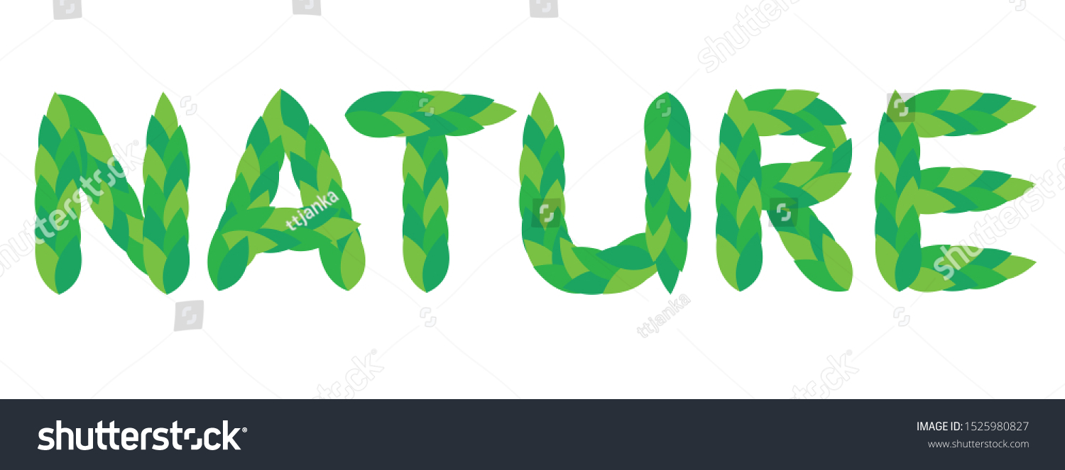 word-nature-green-leaves-vector-modern-stock-vector-royalty-free