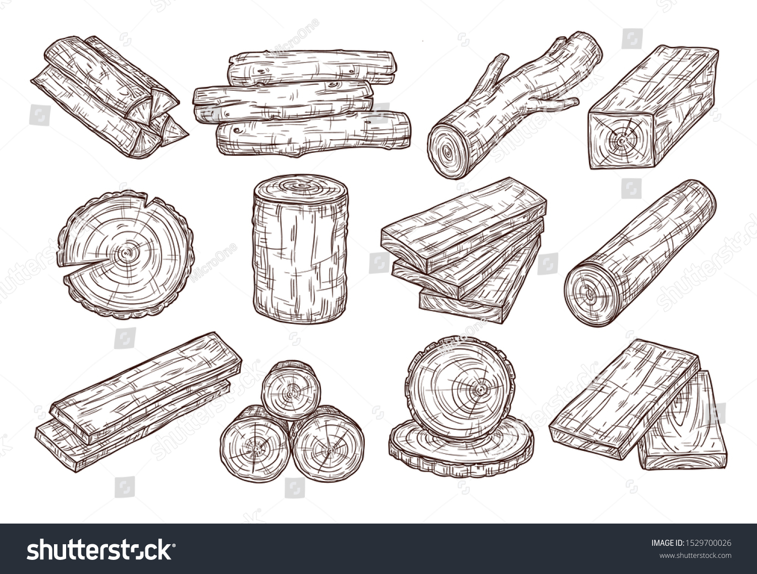 2,720 Cross Section Of Tree Branch Images, Stock Photos & Vectors ...