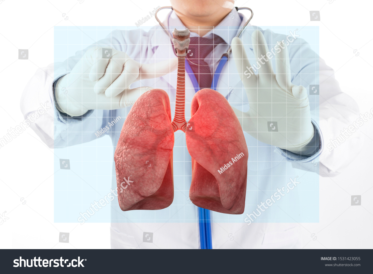 Doctor Check Respiratory Lung Lungs Disease Stock Photo 1531423055 ...