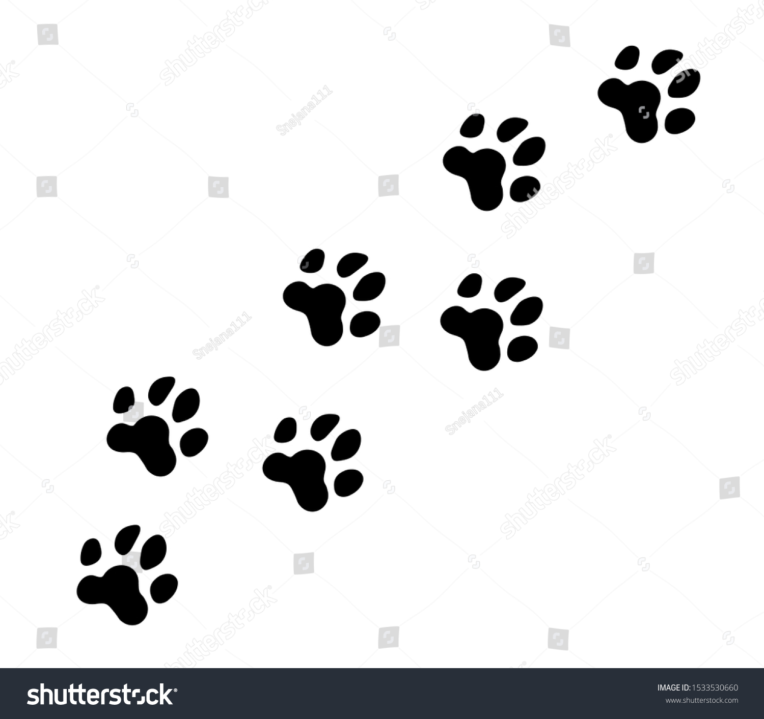 Traces Pets Paw Vector Foot Trail Stock Vector (Royalty Free ...