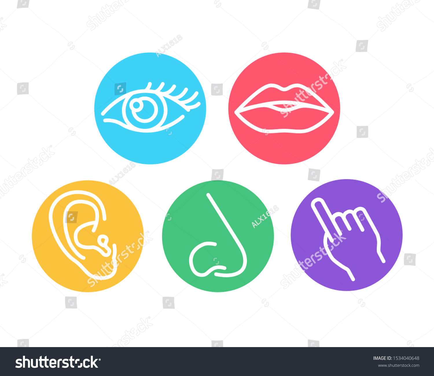 Elements Vision Hearing Smell Taste Touch Stock Vector (Royalty Free ...