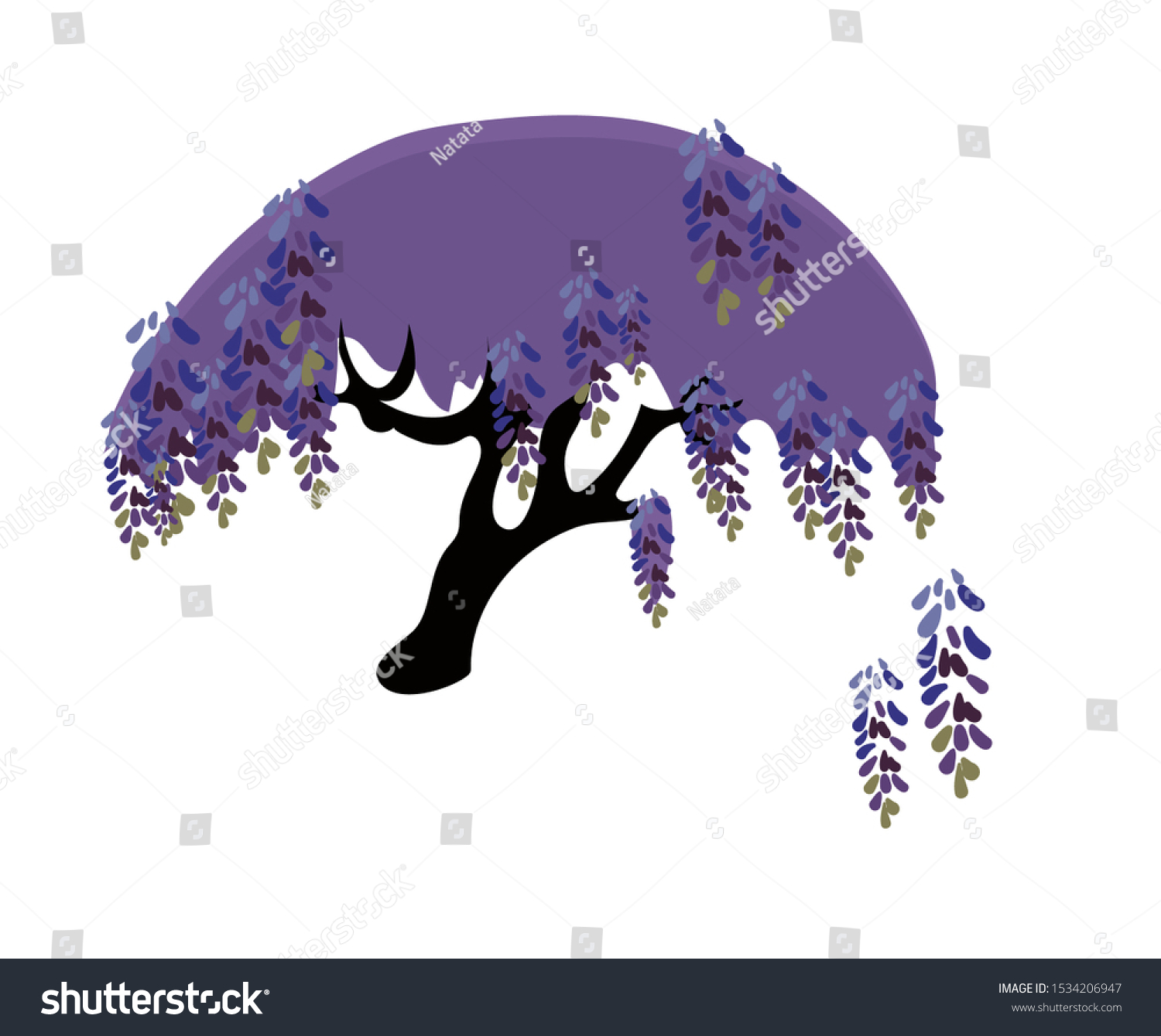 Jacaranda Vector Cartoon Tree Set Design Stock Vector Royalty Free