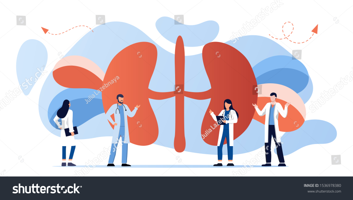 Kidney Healthcare Doing Medical Researchurology Nephrology Stock Vector ...