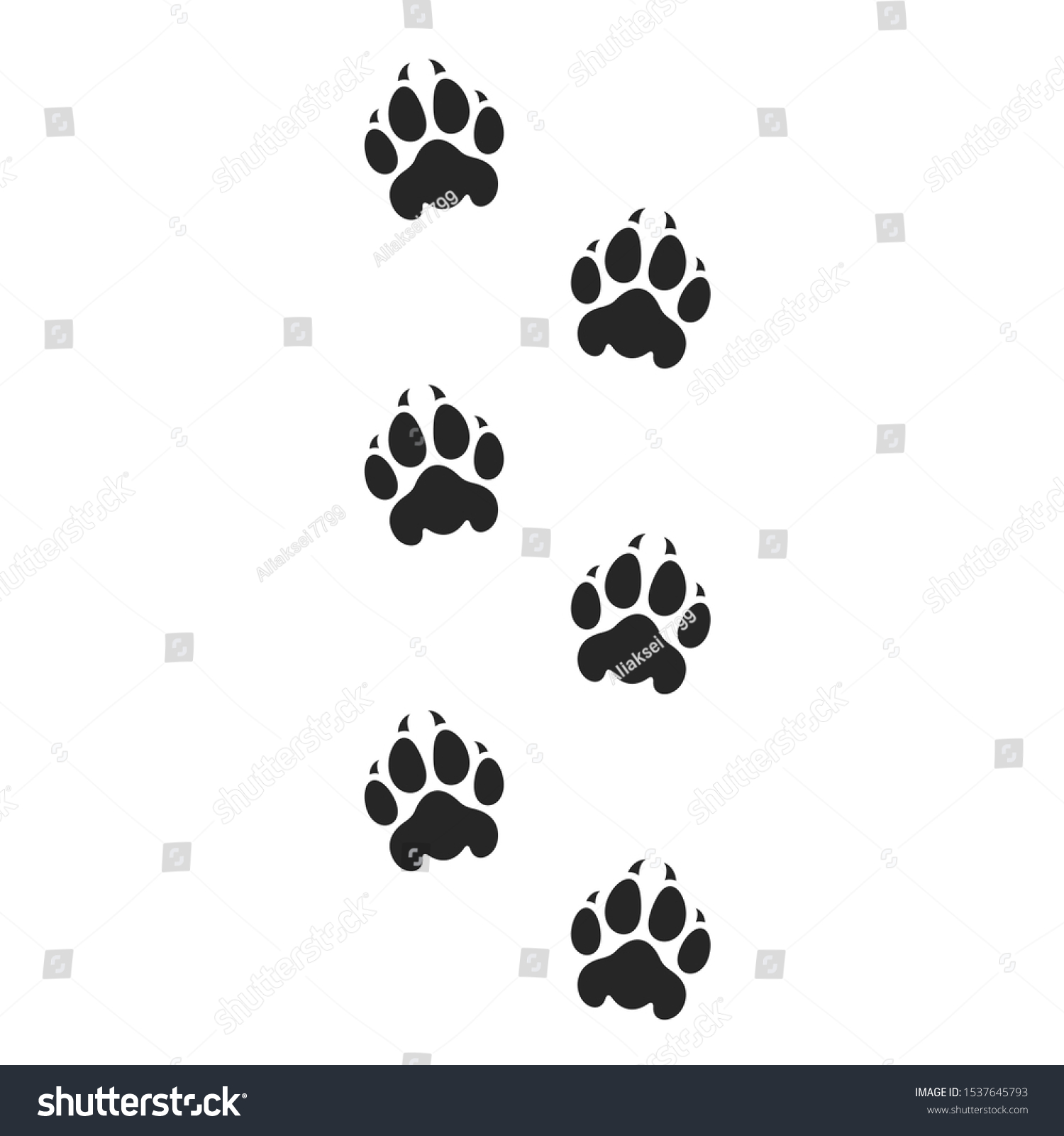 Tiger Paw Print Safari Park Isolated Stock Vector (Royalty Free ...