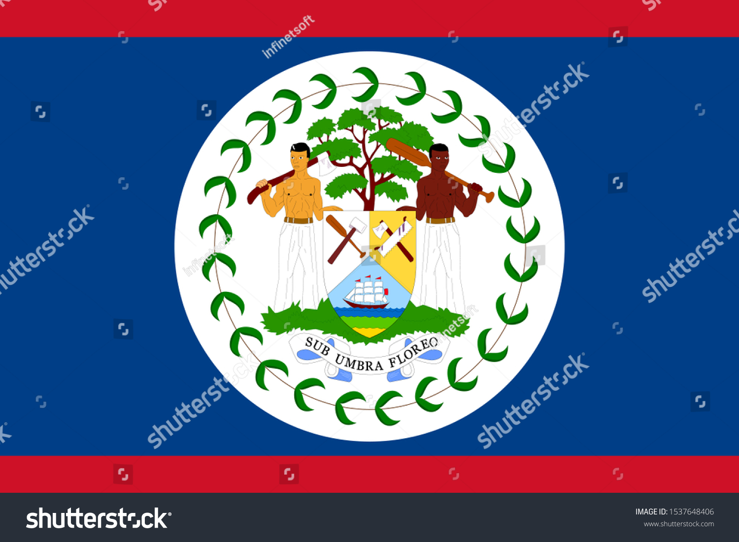 Belize Flag Vector Insignia Illustration Graphics Stock Vector (Royalty ...