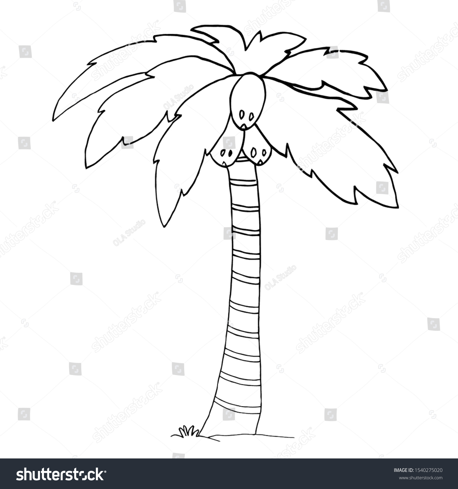 palm tree drawing for kids