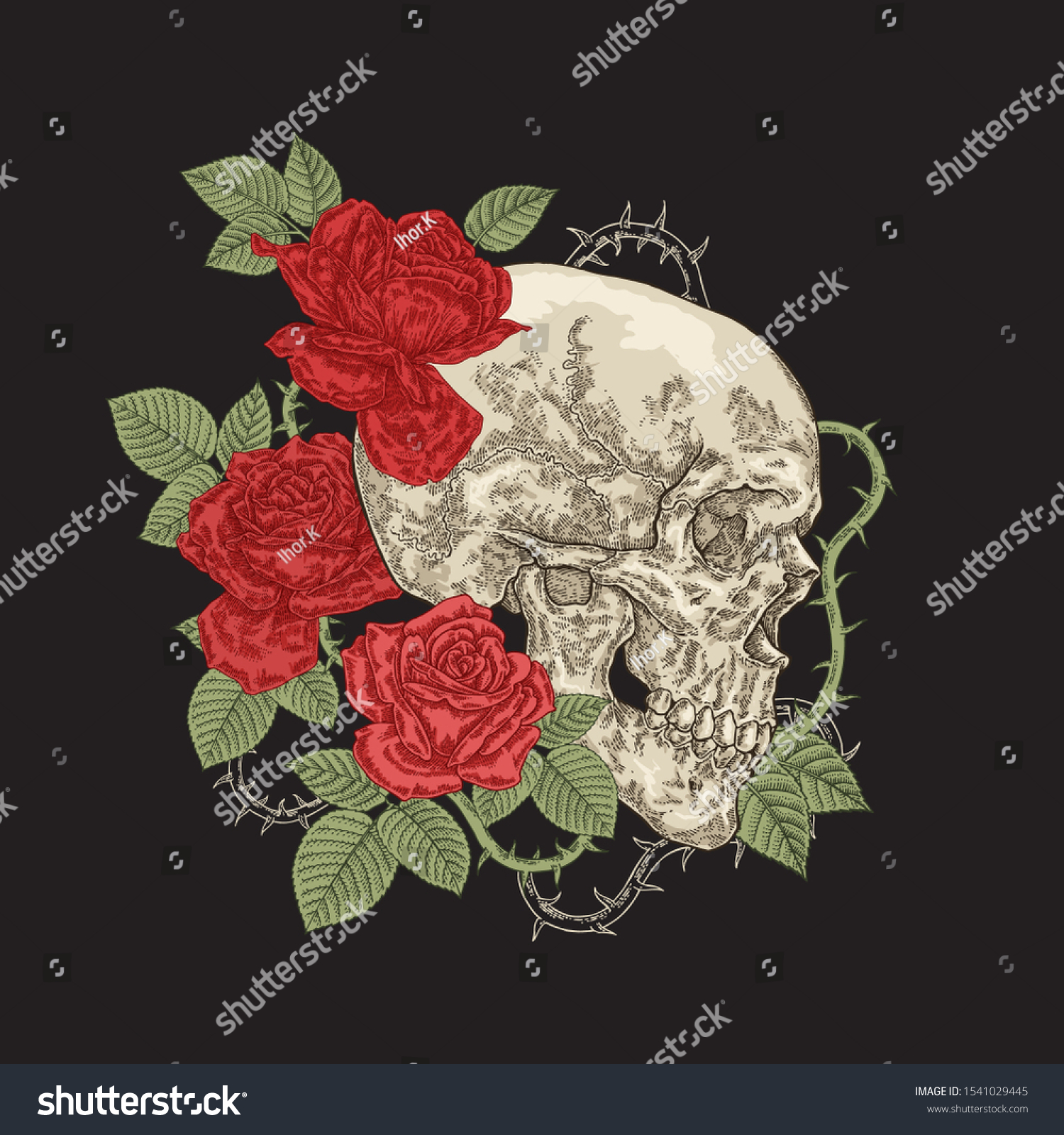 Human Skull Red Roses Flowers Vector Stock Vector Royalty Free 1541029445 Shutterstock 