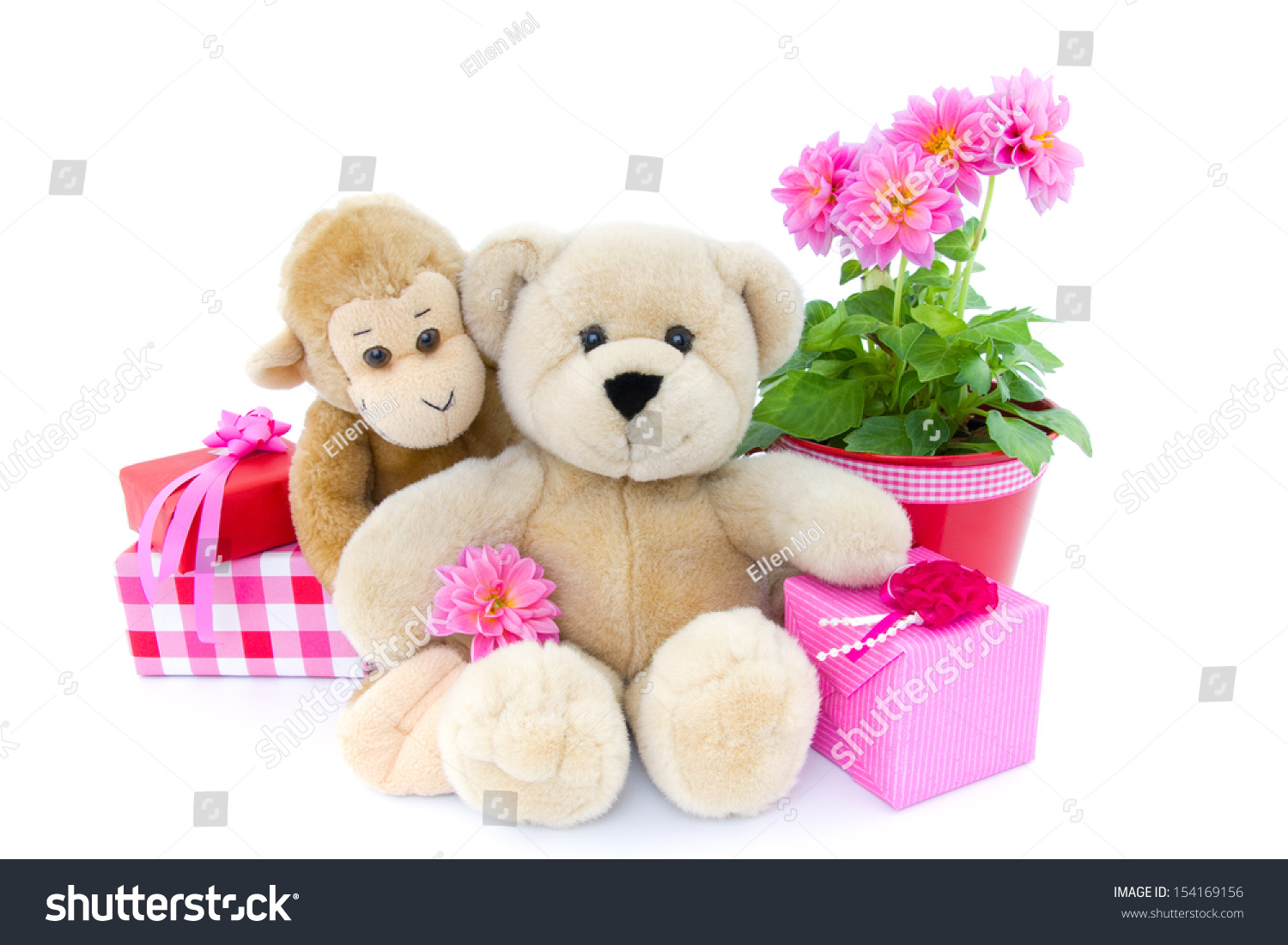 monkey with teddy bear