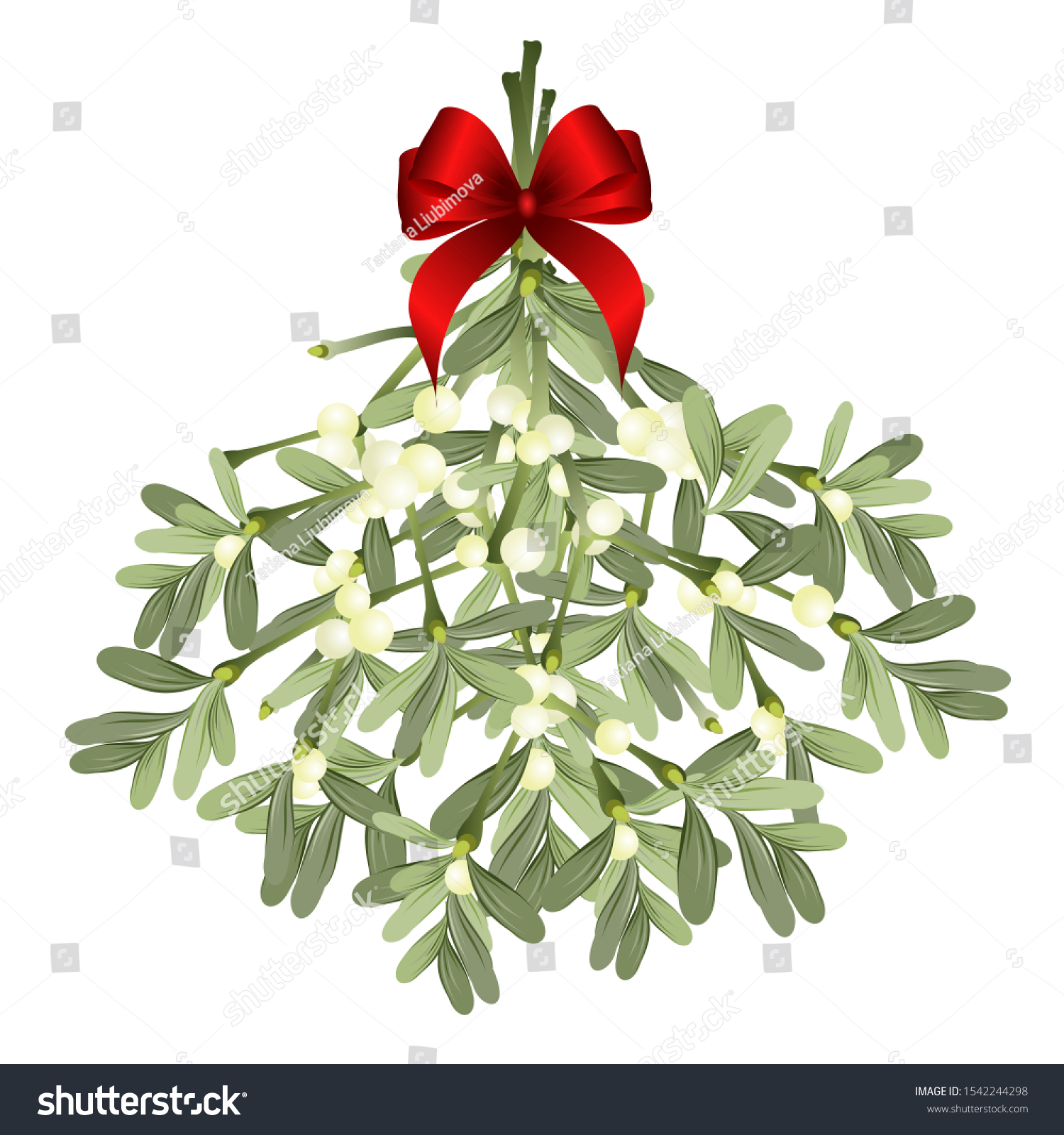 Bunch Mistletoe Sprigs Red Bow Isolated Stock Vector (Royalty Free ...