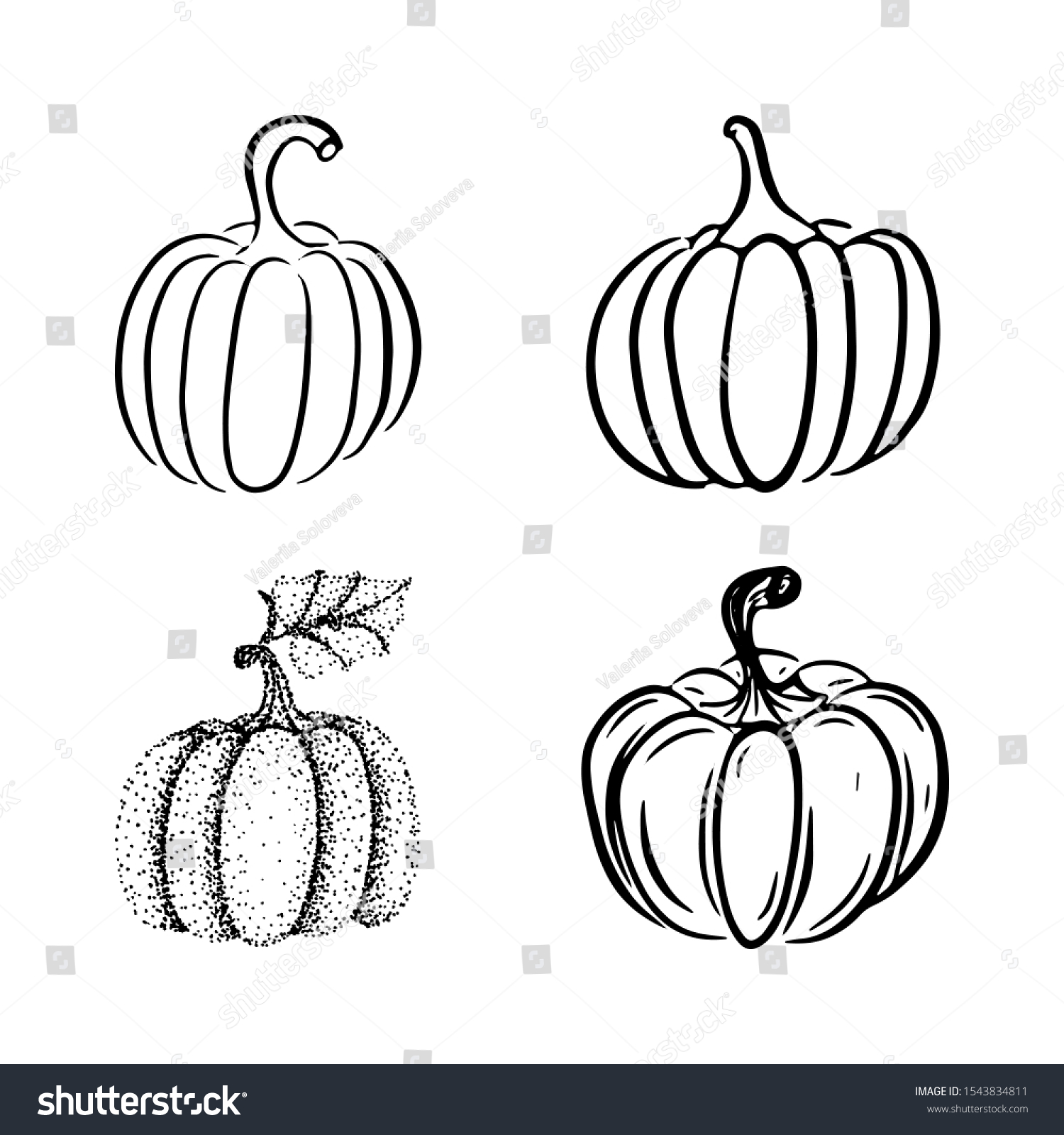 Collection Various Handdrawn Pumpkins Black Pen Stock Vector (Royalty ...