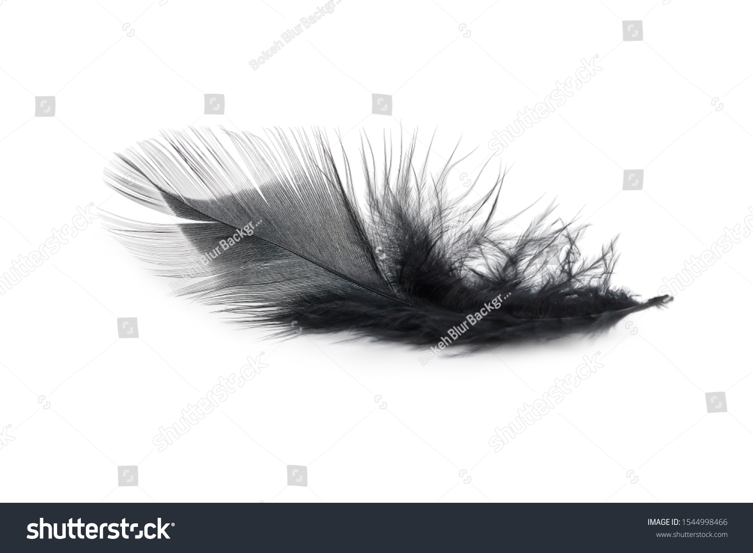 Black Feather Texture On White Background Stock Photo 1544998466 ...