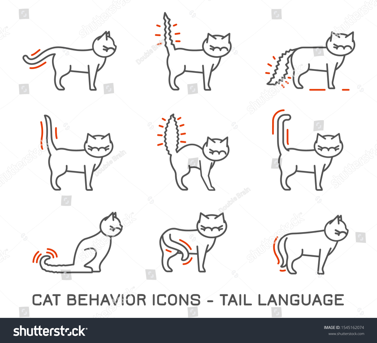 Настроение кошки по хвосту. Поведения кота в полгода. Correction of Cat Behavior.