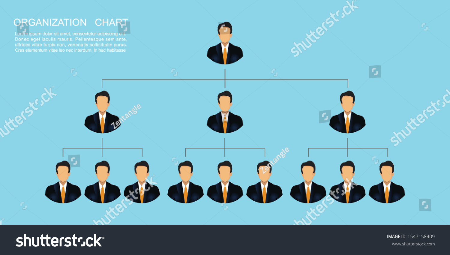 Organization Chart Template Corporation Business Hierarchy Stock Vector ...