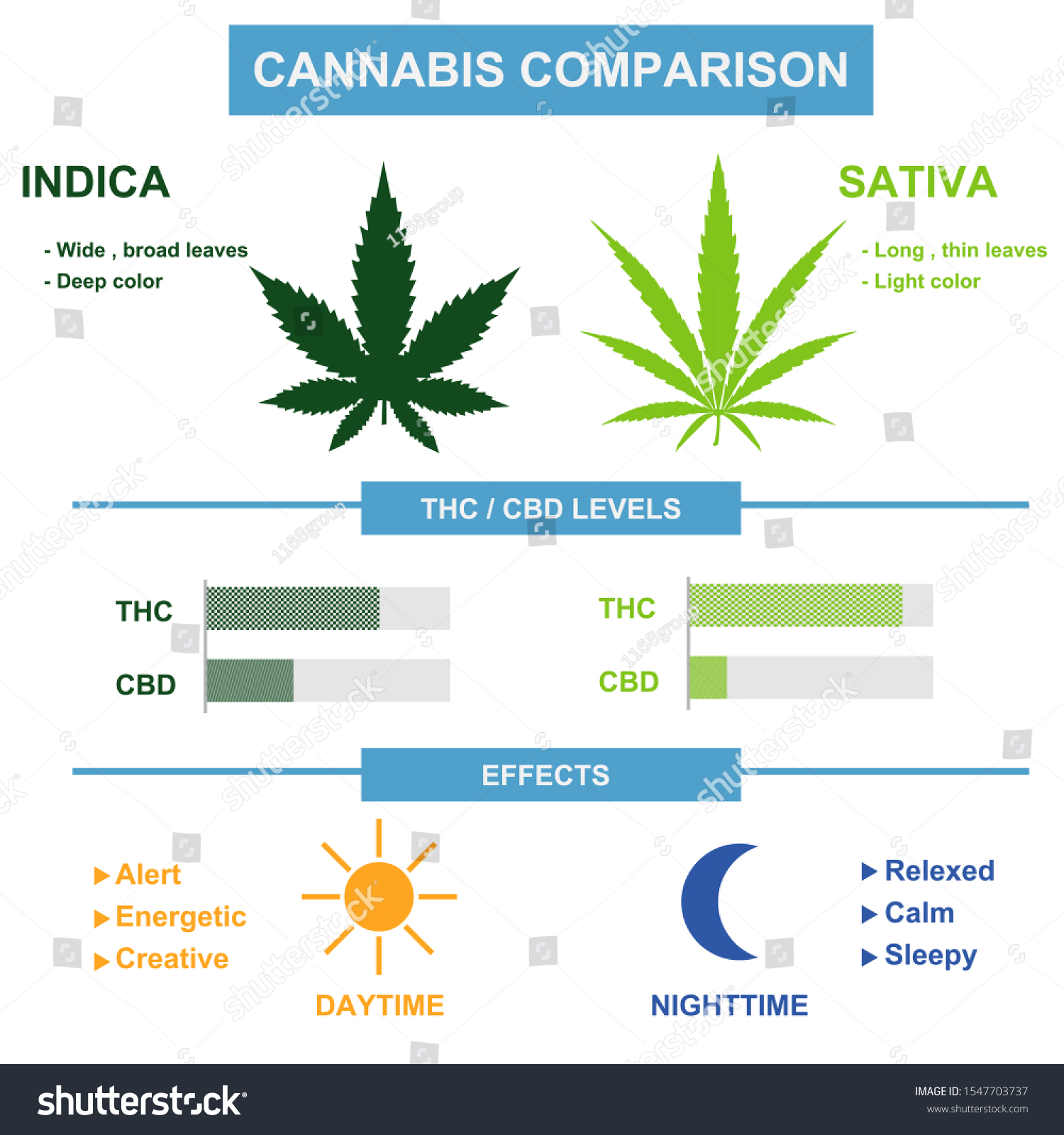 Cannabis Sativa Cannabis Indica Comparison Stock Vector (Royalty Free ...