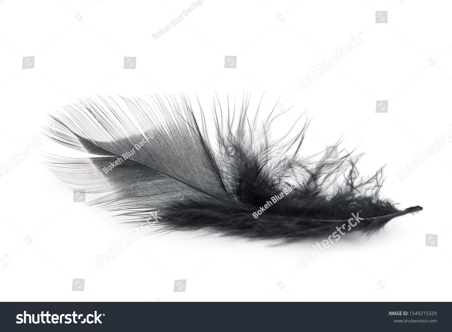 Black Feather Texture On White Background Stock Photo 1549215329 