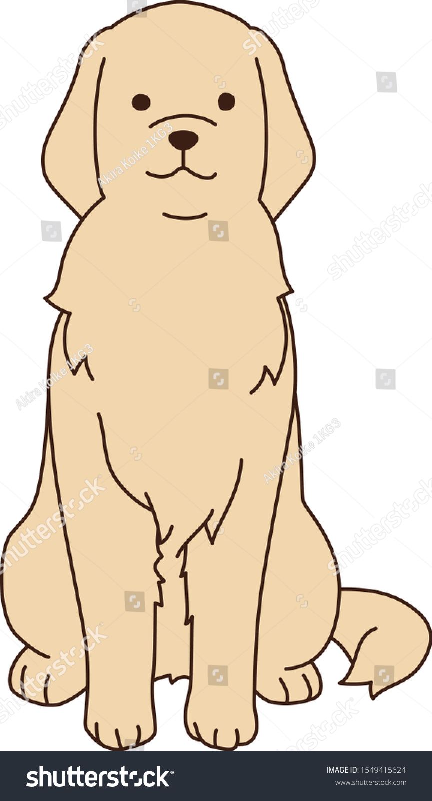 Sit Golden Retriever Vector Illust Stock Vector (Royalty Free ...