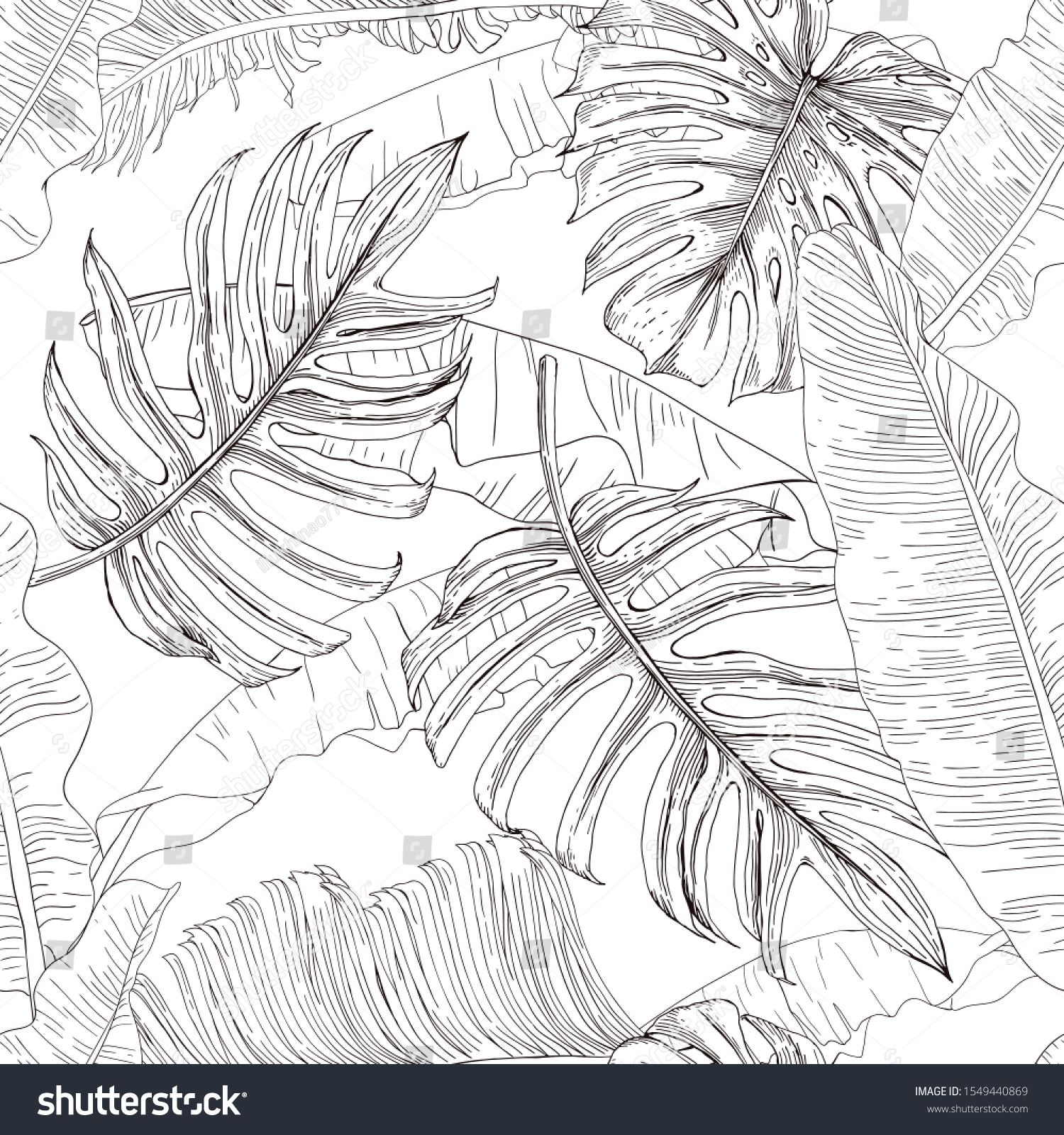 Black White Drawing Tropical Leaves Banana Stock Vector (Royalty Free ...