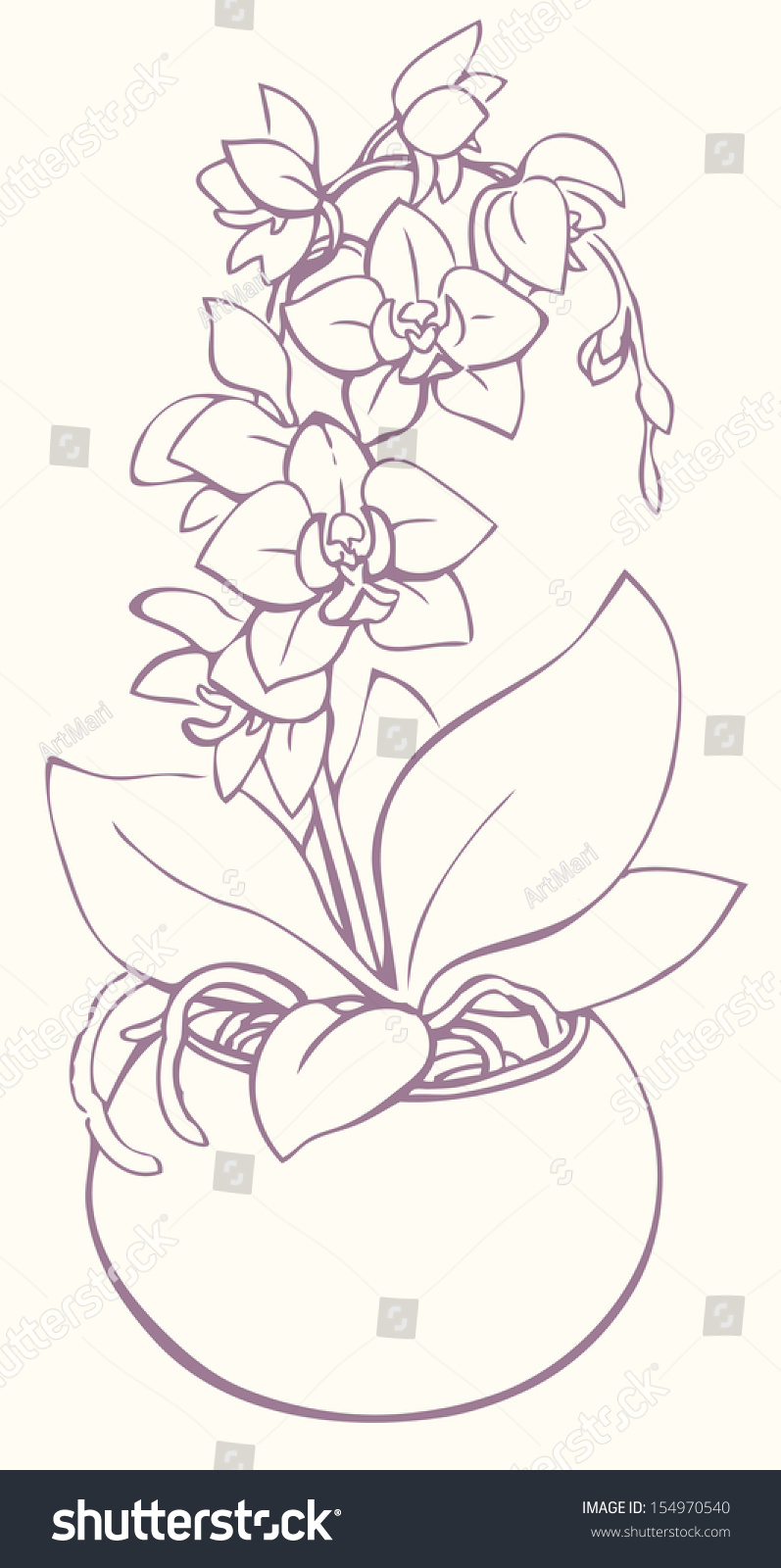 Орхидея в горшке срисовка
