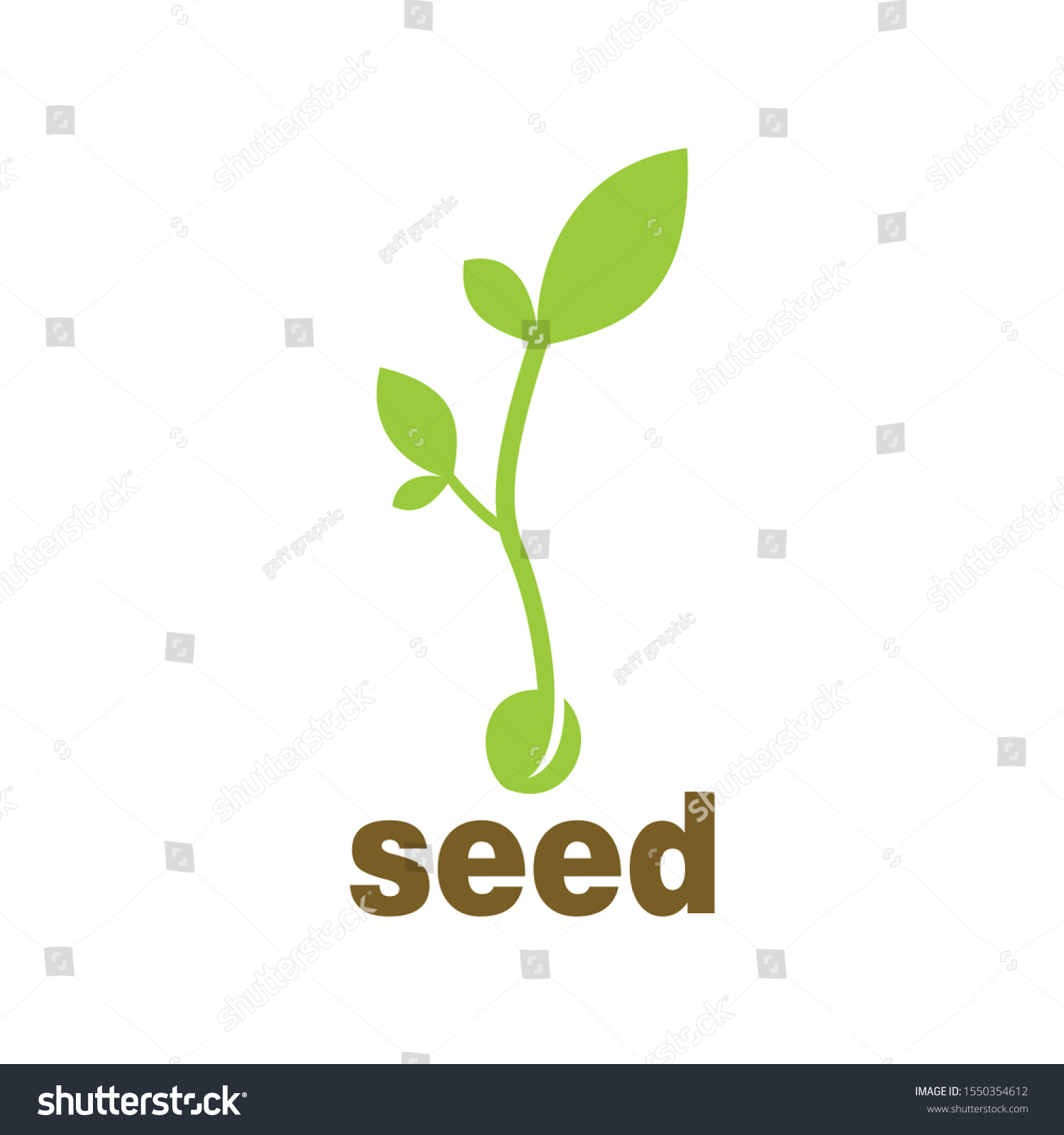 seed vector