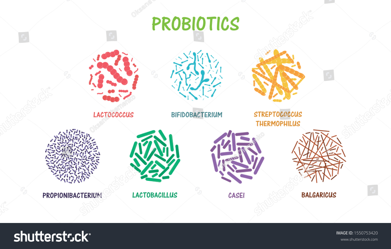 Set Probiotic Bacteria Good Bacteria Microorganisms Stock Vector ...