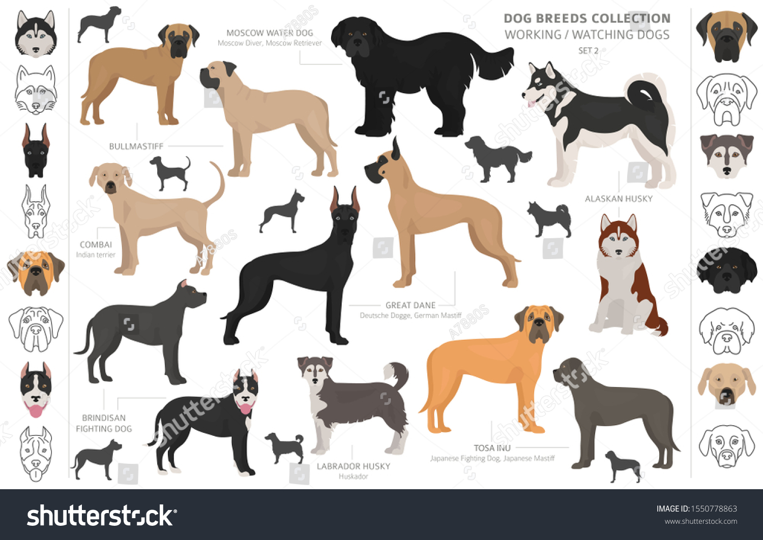 Working Service Watching Dogs Collection Isolated Stock Vector (Royalty ...