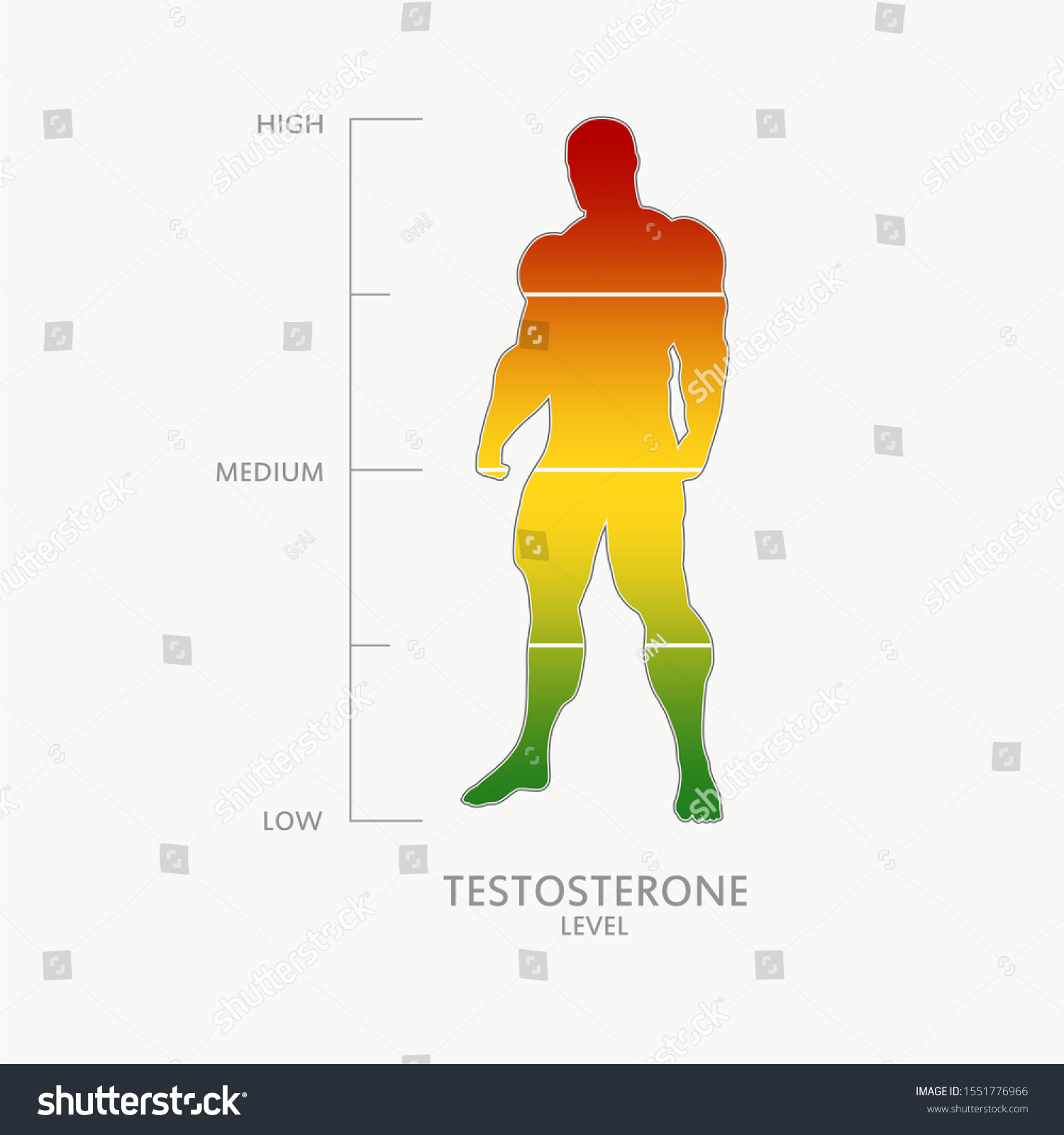 Hormone Testosterone Level Measuring Scale Health Stock Vector Royalty