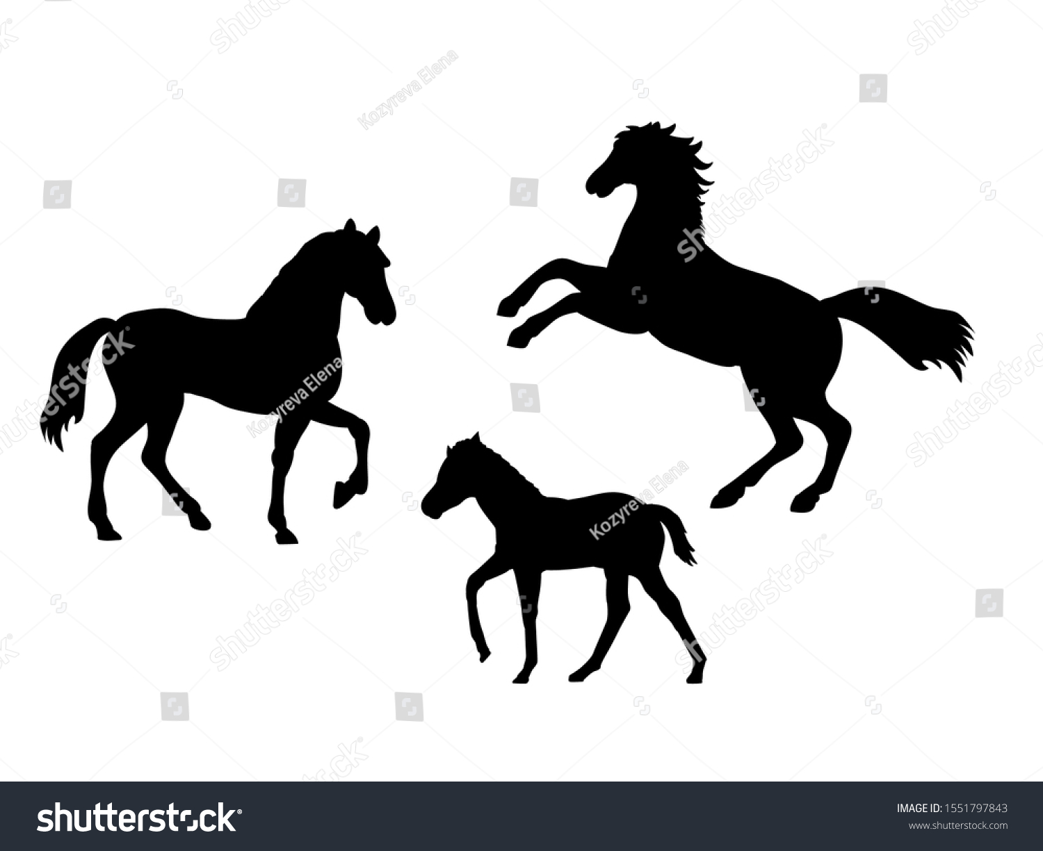 Horse Family Silhouettes Animals Vector Illustrator Stock Vector ...