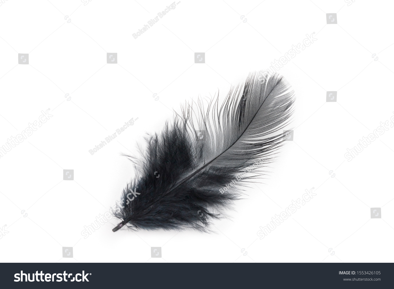 Black Feather Texture On White Background Stock Photo 1553426105 ...